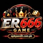 ER666 Game