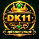 DK11 Game